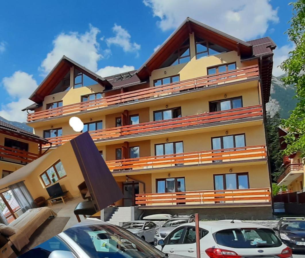 Kalinderu Skier'S Apartament Bellevue Buşteni 外观 照片