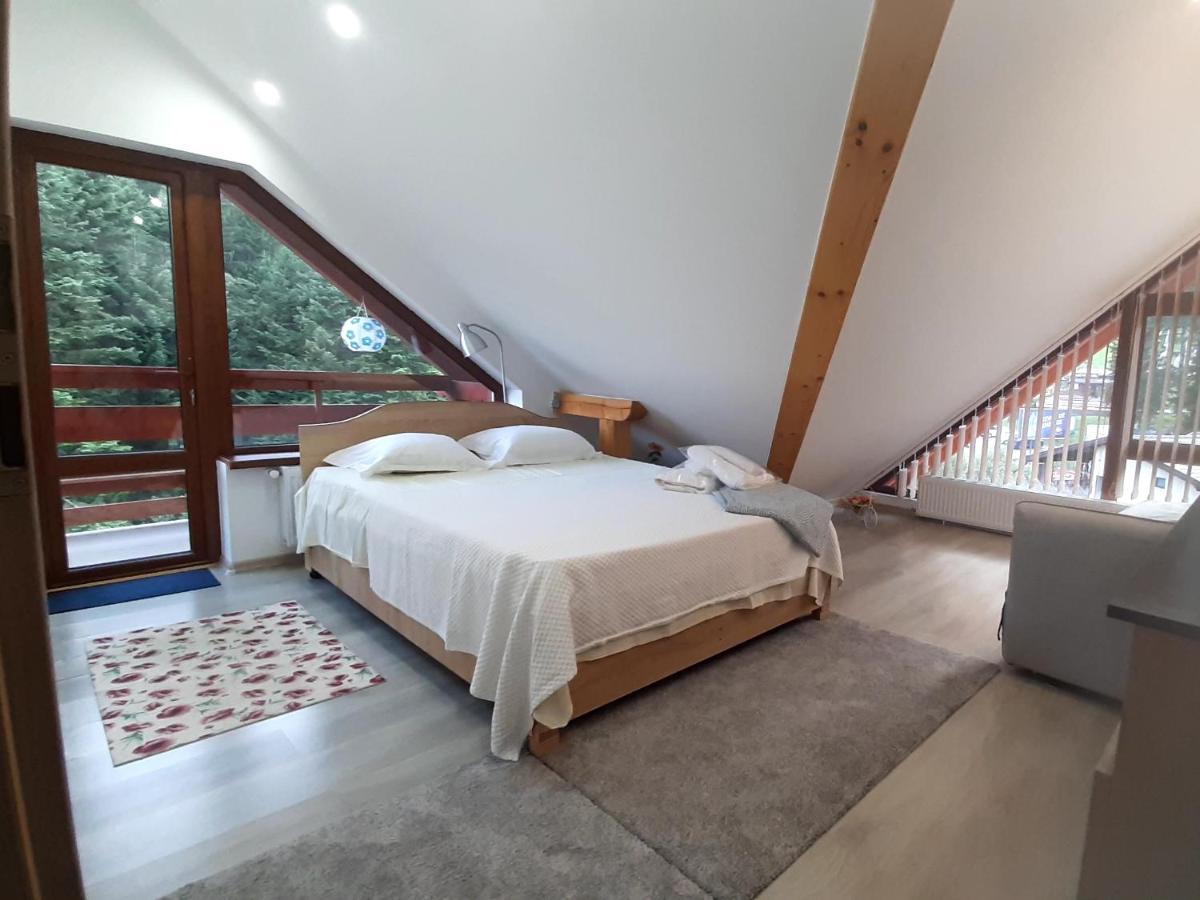 Kalinderu Skier'S Apartament Bellevue Buşteni 外观 照片