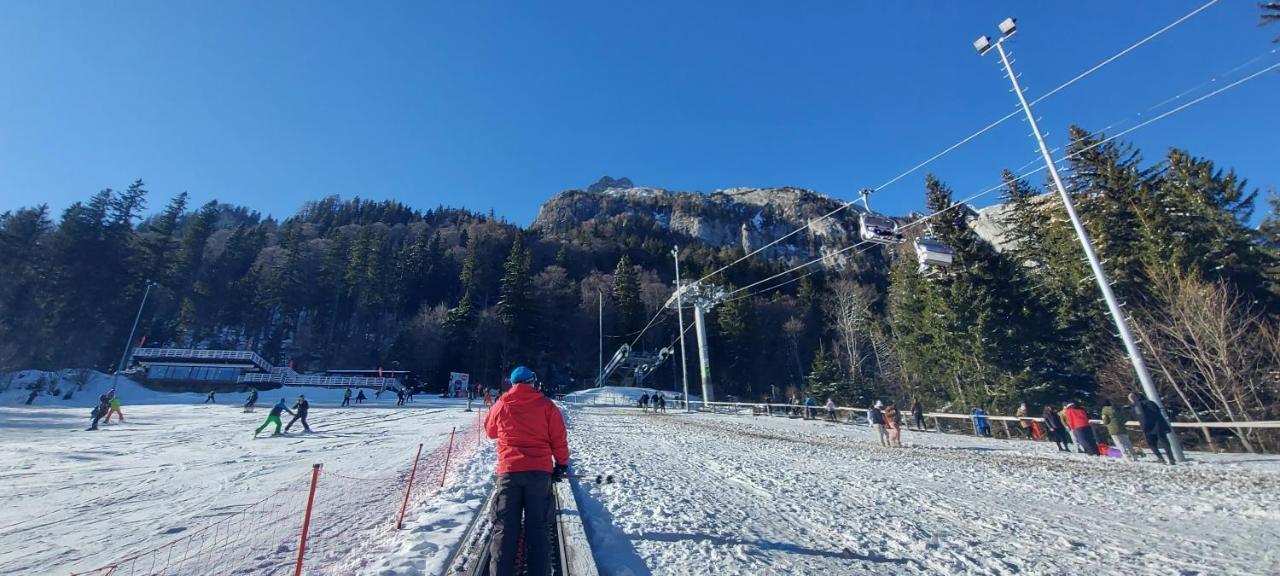 Kalinderu Skier'S Apartament Bellevue Buşteni 外观 照片